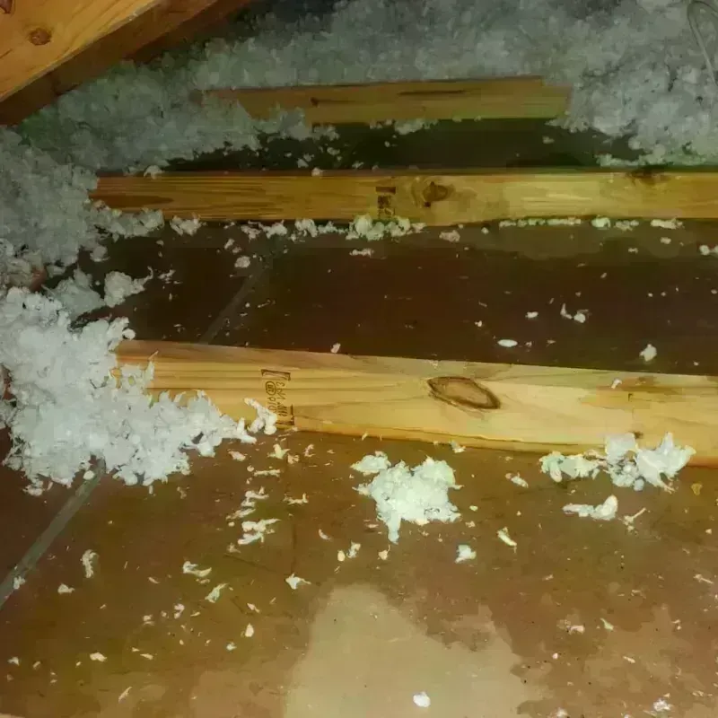 Attic Water Damage in Willowbrook, NY